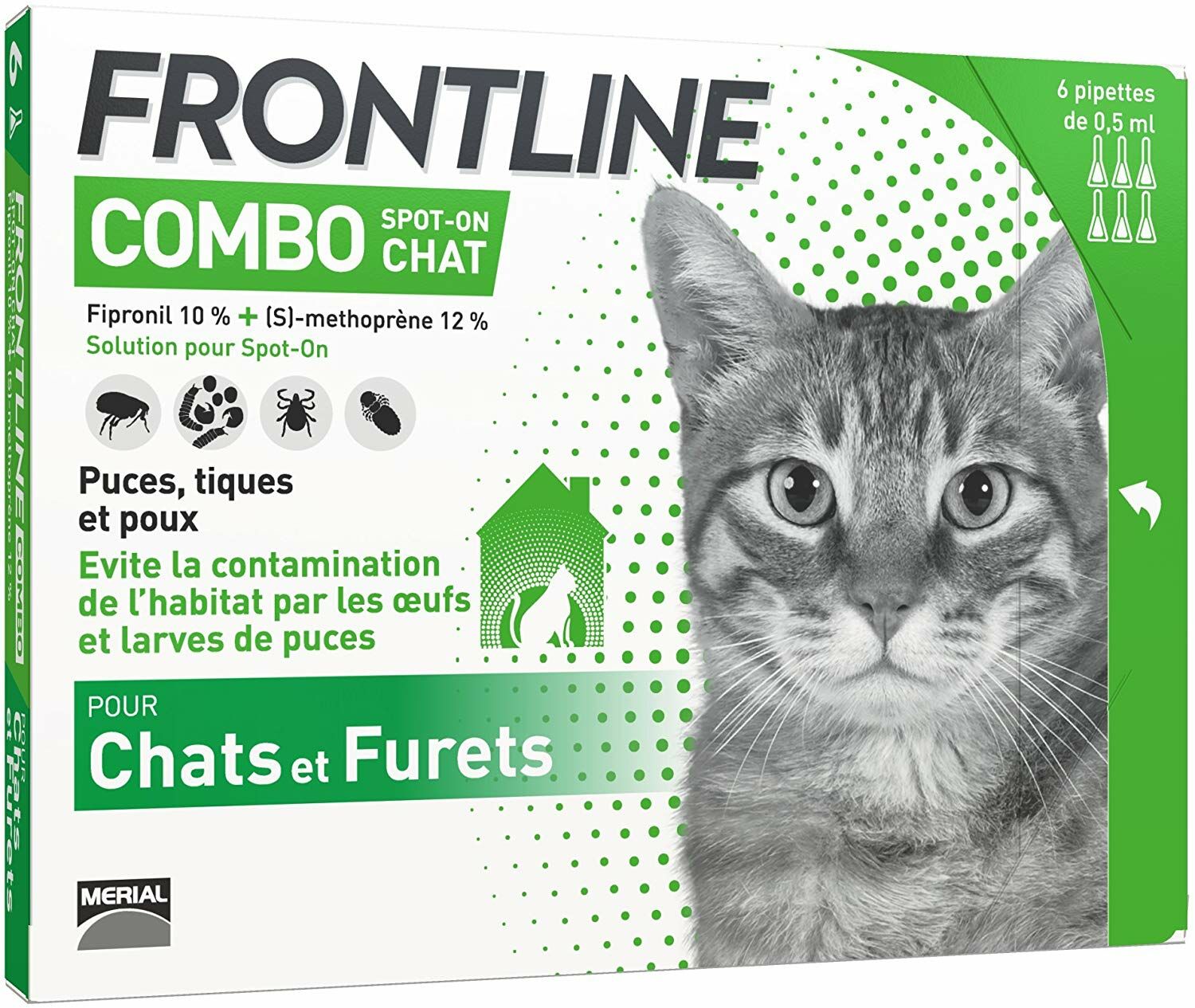 3 Maladies Que Le Chat Peut Vous Transmettre